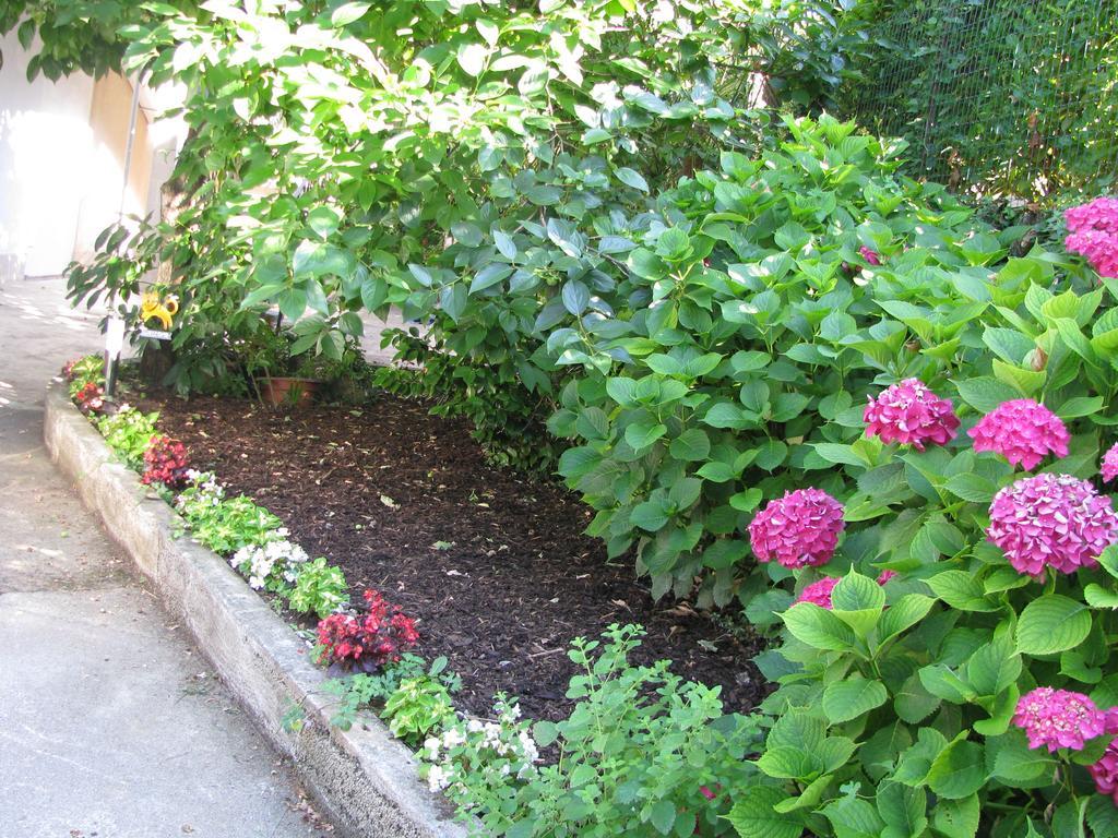 Apartment Sea Garden Ičići Εξωτερικό φωτογραφία